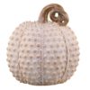 Latté antik dekorace dýně Pumpkin antique - Ø 21*24 cm Chic Antique Chic Antique www.eLovci.cz